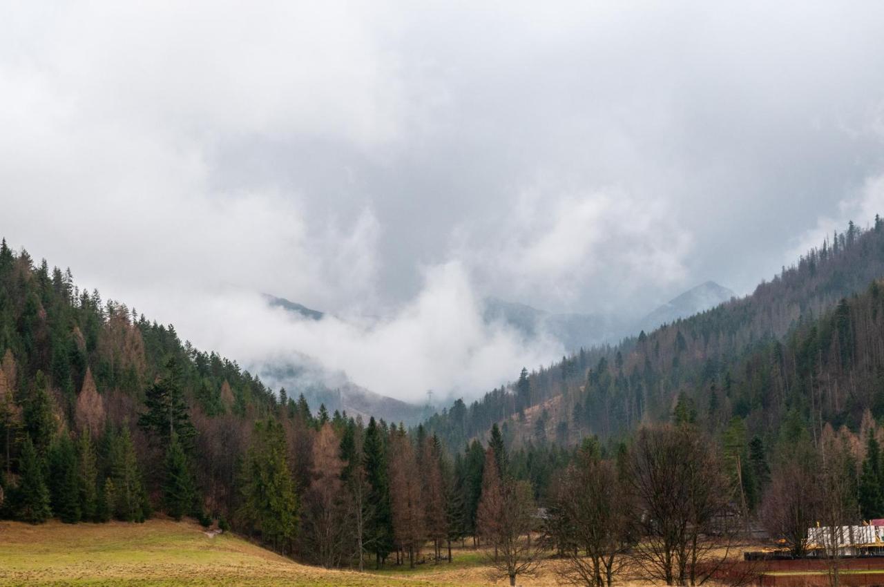 Willa Pod Nosalem III Zakopane Buitenkant foto